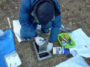 Sampling using a scraper plate