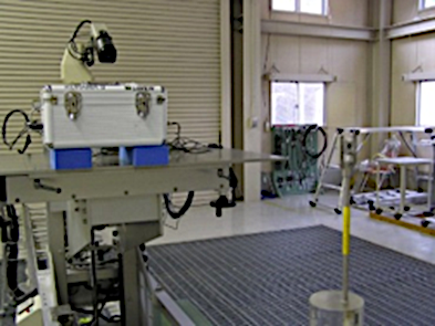 Calibration system with a standard radiation source