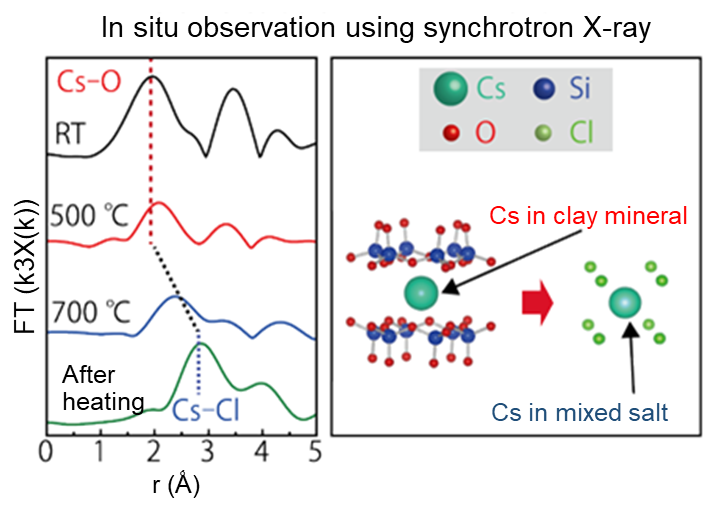 Mechanism of Cs removal from weathered biotite