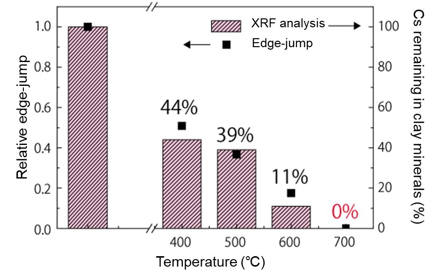Cs remaining in clay minerals after heat treatment with mixed salts.