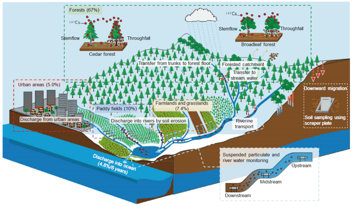 Schematic illustration of 137Cs migration and monitoring on land