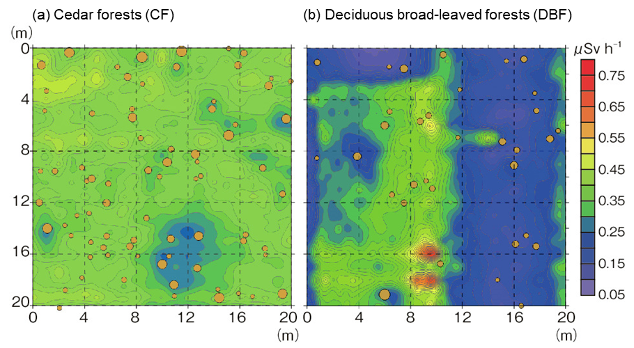 Spatial-distribution map of the &gamma;-ray-dose rate at the forest ground surface in a 20 m &times; 20 m plot