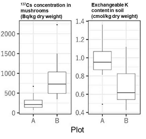 Concentration of radioactive cesium (137Cs) in Boletus hiratsukae (Left) shown lower at a survey site with higher exchangeable potassium content in the surface soil (0-5 cm layer) (Right)