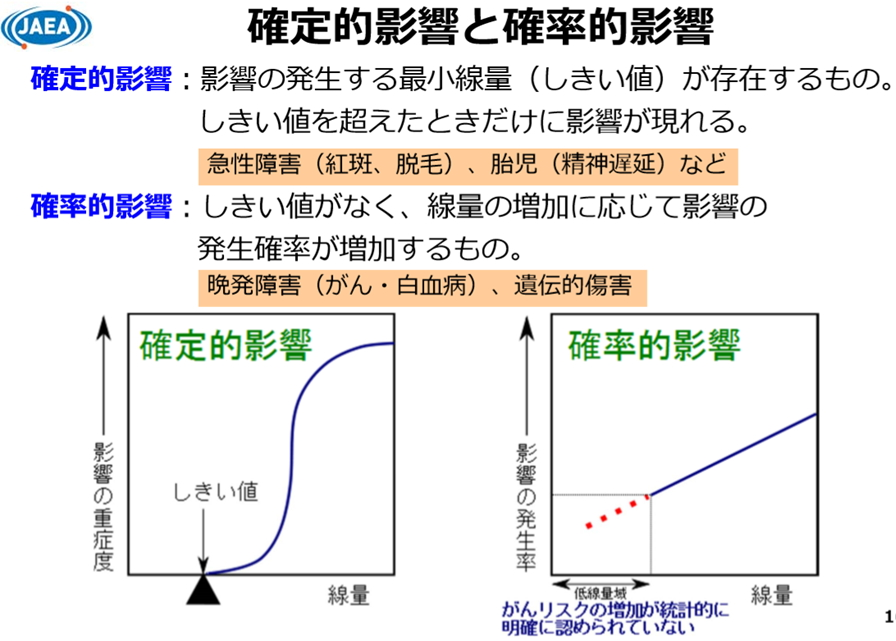 確定的影響と確率的影響
