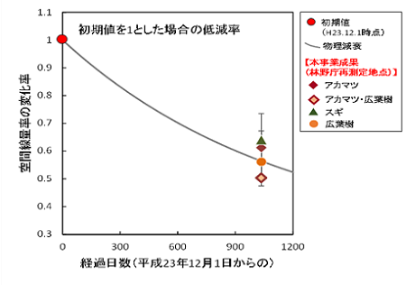 森林における空間線量率の変化の様子