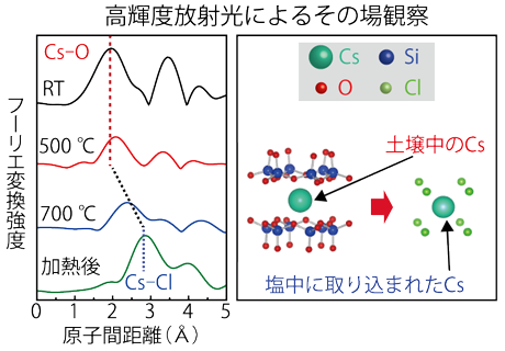 風化黒雲母からCsが取り除かれる様子