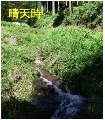 森林渓流における土砂流出の様子-晴天時