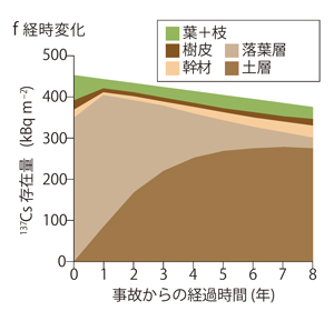 チェルノブイリ: 放射能と栄養 輸入食品中の放射能の濃度限度 (09-01-04-07) - ATOMICA -