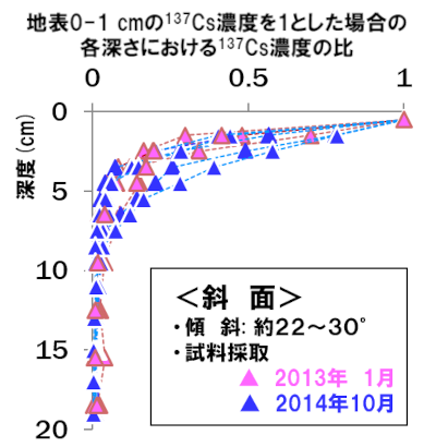 森林の土壌における137Cs濃度の深度分布-斜面