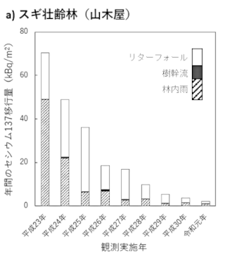 スギ壮齢林（山木屋）