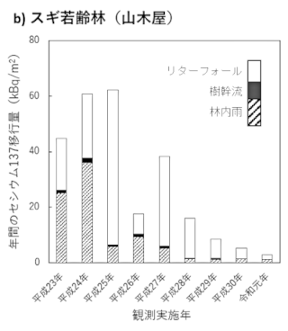 スギ若齢林（山木屋）
