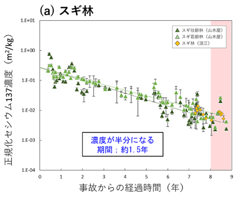 リターフォールに含まれるセシウム137濃度の経時変化