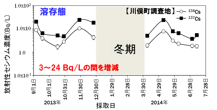 樹幹流に含まれる溶存態セシウムの濃度（川俣町調査事例）