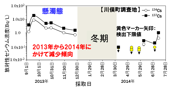樹幹流に含まれる懸濁態セシウムの濃度（川俣町調査事例）