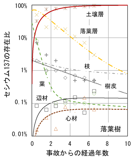 シミュレーション結果と実測値の比較-落葉樹