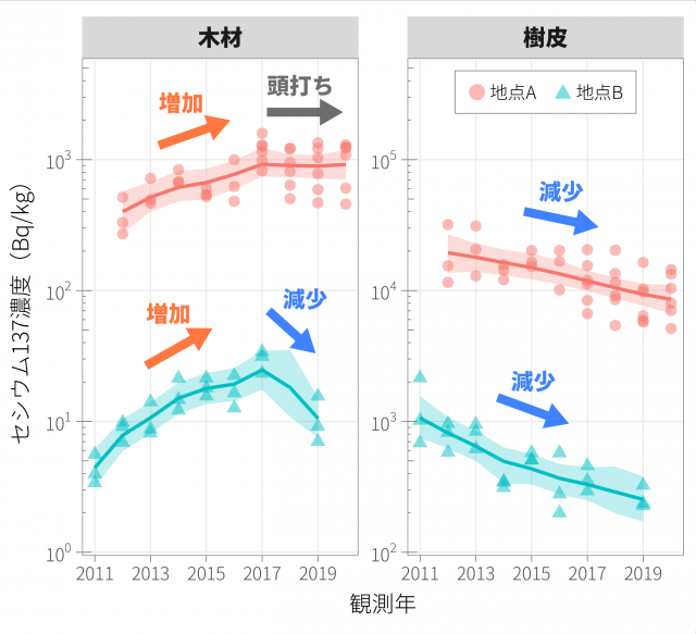 木材・樹皮中の放射性セシウム（セシウム137）濃度の経年変化傾向（コナラ2地点の例）