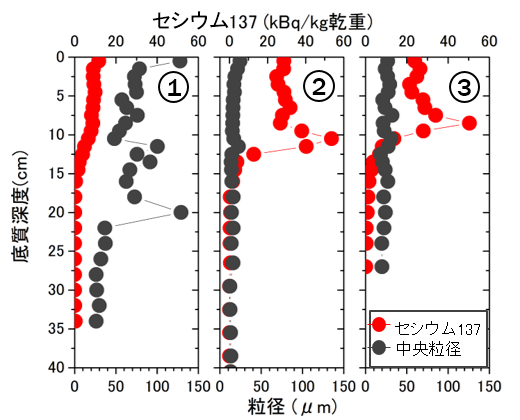 採泥コアの137Cs濃度と中央粒径の鉛直分布)