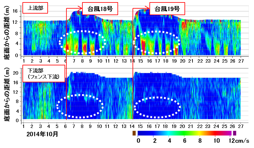 出水時の流速の鉛直方向分布