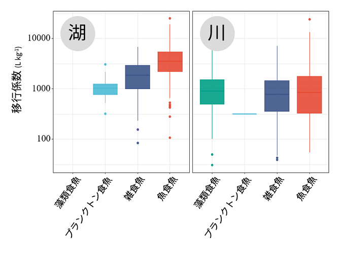 湖と河川における淡水魚の放射性セシウム移行係数