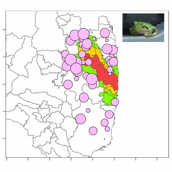 ニホンアマガエル
