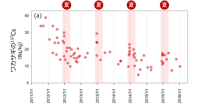 （a）霞ヶ浦で採集されたワカサギに含まれる放射性セシウム137濃度の時間的変化