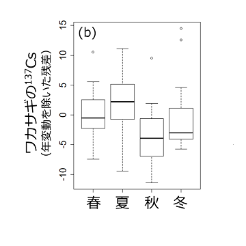 （b）ワカサギの放射性セシウム137濃度の季節ごとの違い
