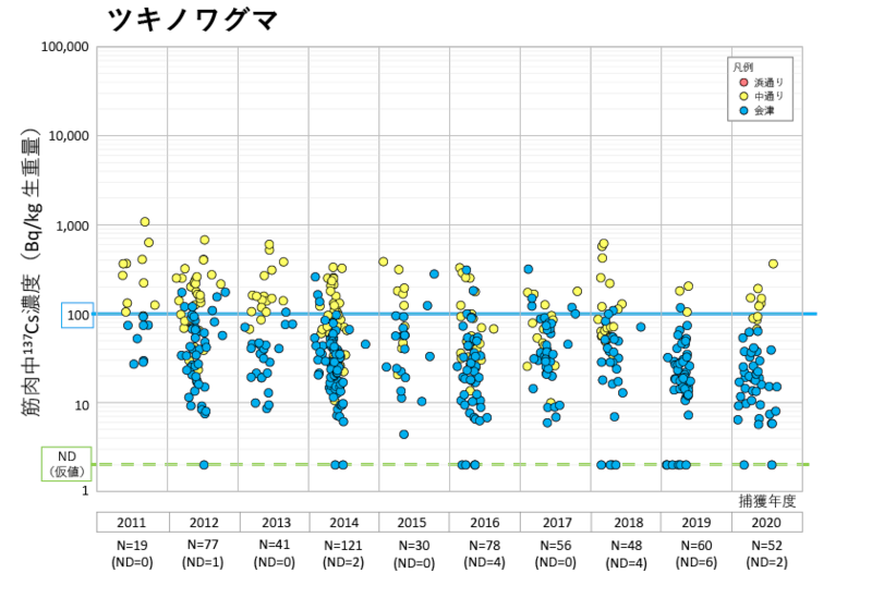 ツキノワグマの筋肉中における137Cs濃度の時系列変化