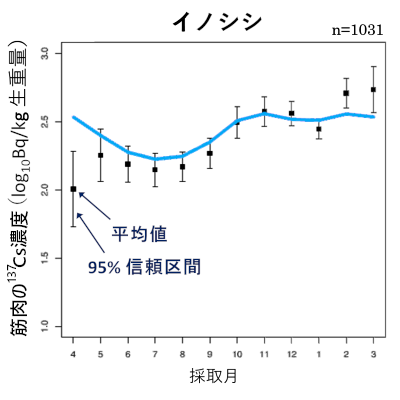 イノシシにおける筋肉中137Cs濃度の季節変動