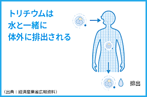 トリチウムの内部被ばく