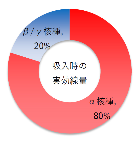 ファイバ型モニターの原理と外観