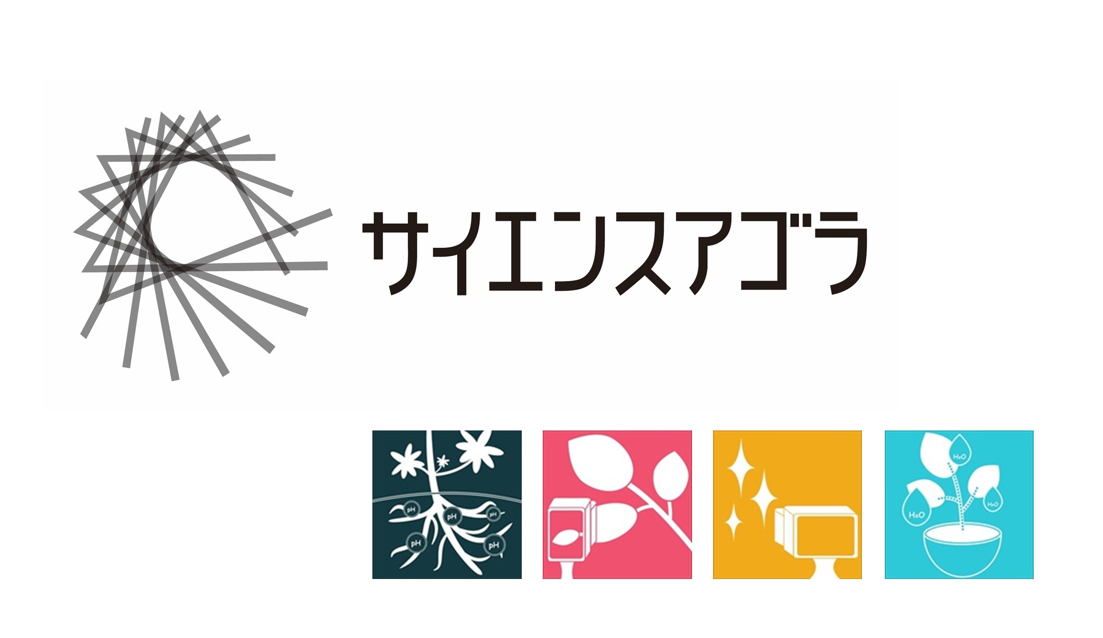 ニュース画像